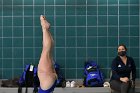 Women's Diving  Wheaton College Women’s Diving vs Mount Holyoke College. - Photo by Keith Nordstrom : Wheaton, Swimming & Diving